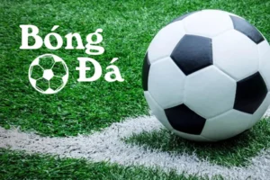 Bóng Trong Cuộc Và Bóng Ngoài Cuộc: Phân Biệt Và Cách Chơi Hiệu Quả
