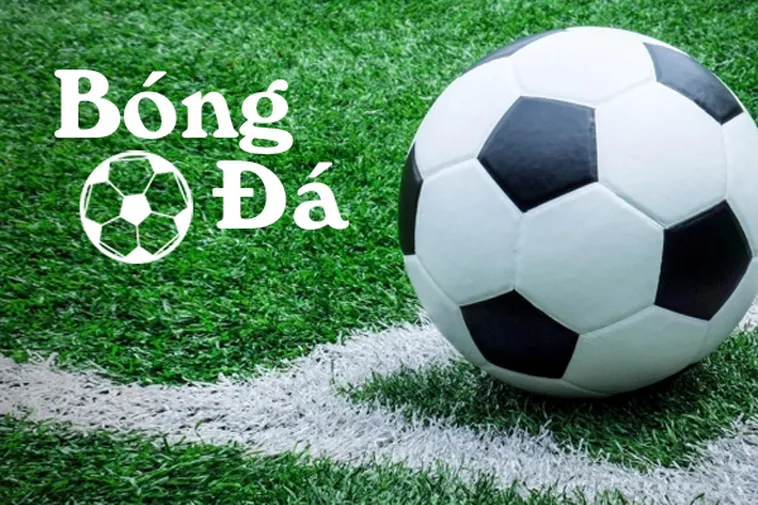 Bóng Trong Cuộc Và Bóng Ngoài Cuộc: Phân Biệt Và Cách Chơi Hiệu Quả