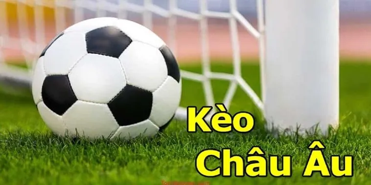 Cách Chơi Kèo Châu Âu Tại NowGoal: Hướng Dẫn Chi Tiết Từ A-Z