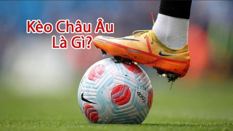 Cách Chơi Kèo Châu Âu Tại NowGoal: Hướng Dẫn Chi Tiết Từ A-Z