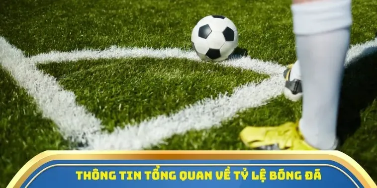 Dữ liệu lịch sử đối đầu không chỉ là những con số khô khan về quá khứ mà còn là tấm gương phản chiếu phong cách thi đấu và sự kỵ giơ giữa các đội bóng.